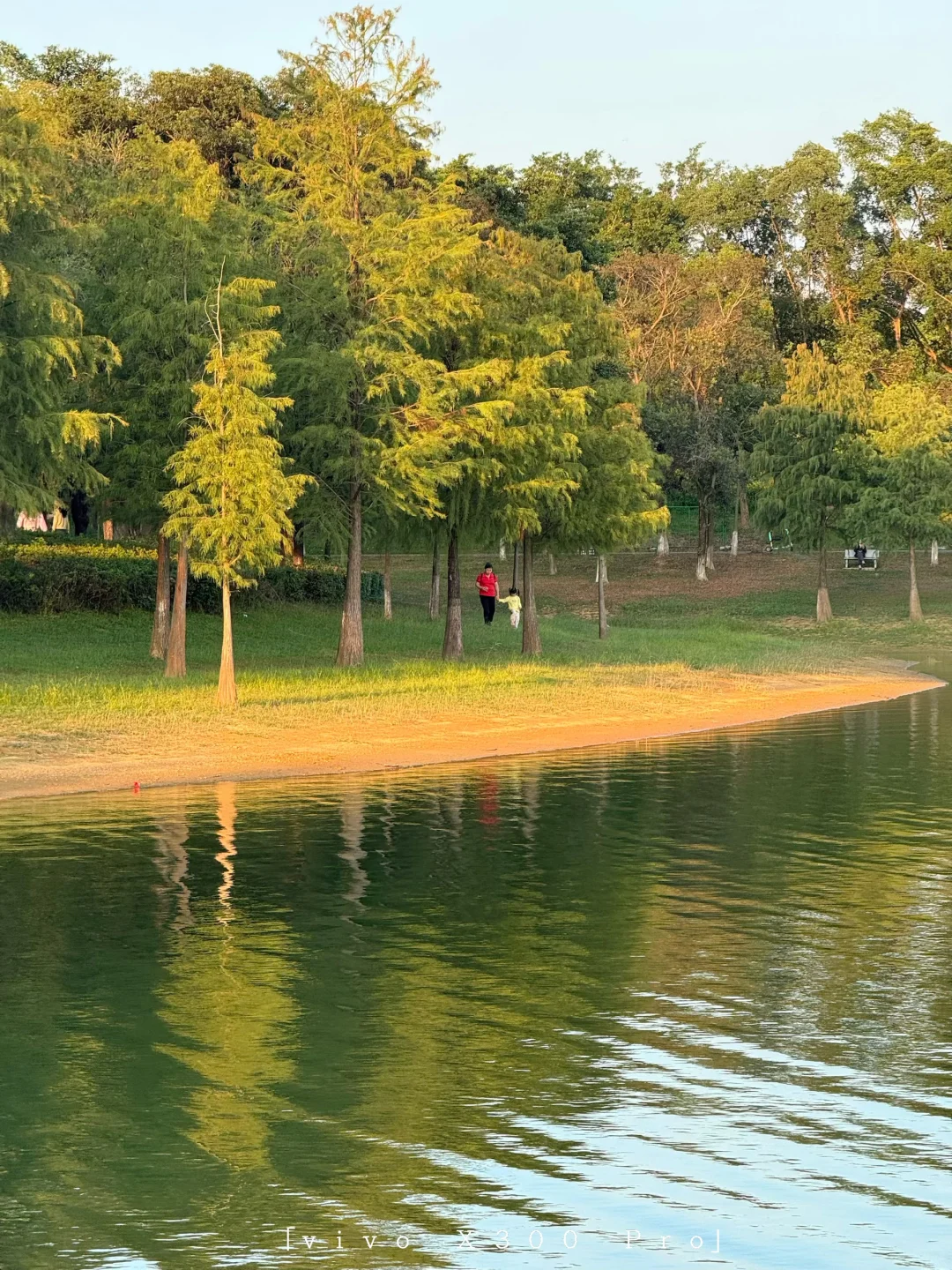 广深周边1h🚗最好的地方都是免费的🏰