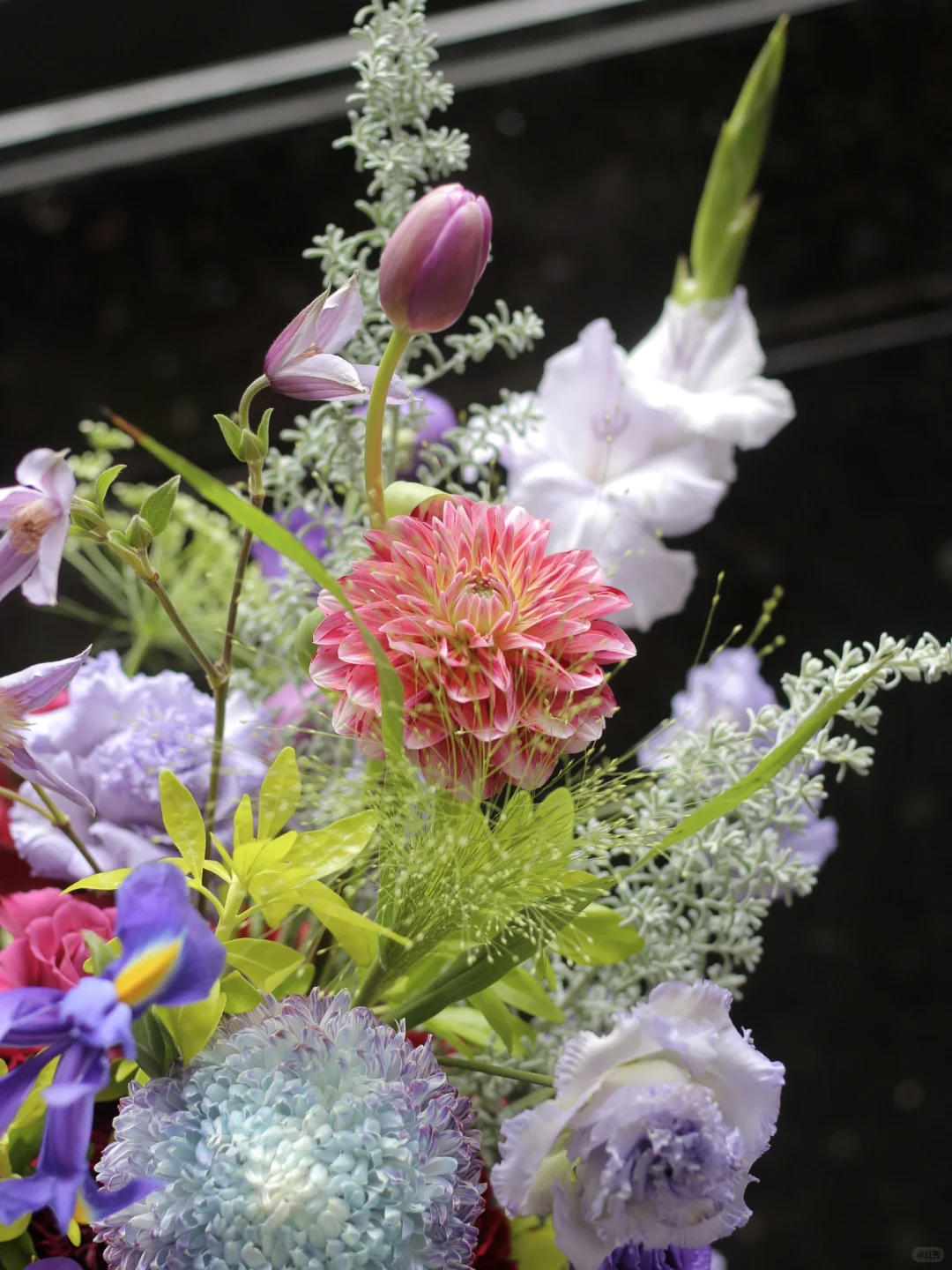 今日份「紫调花簇」美得有点不讲理