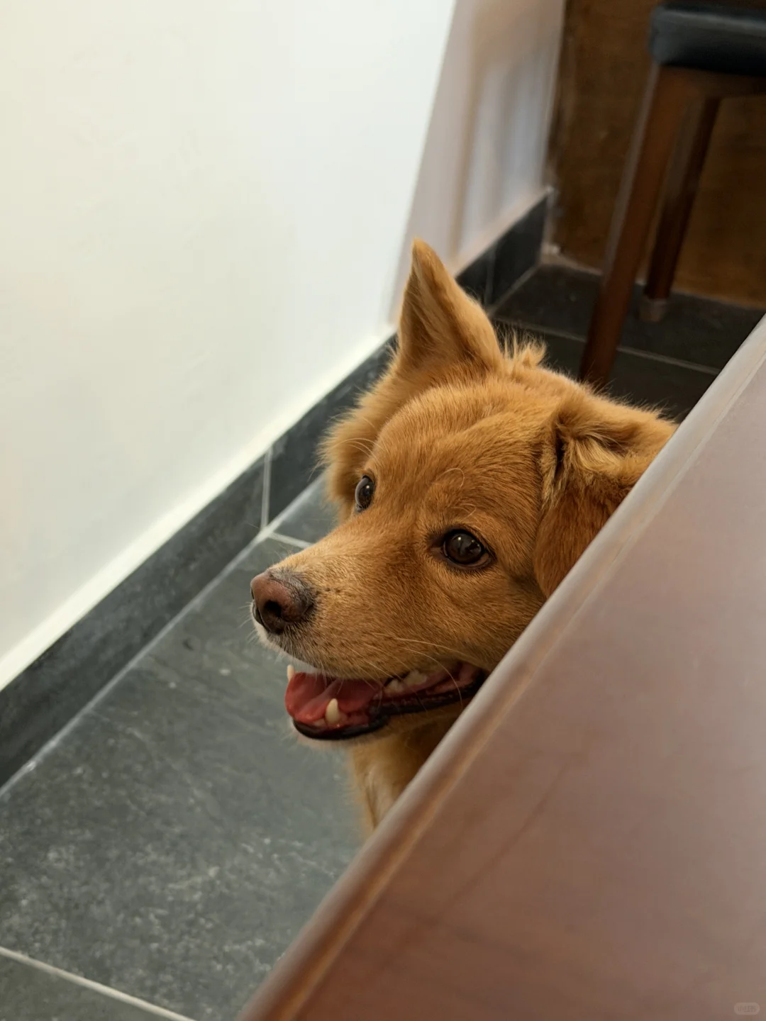 深圳新店！i人可以待一下午的社区店