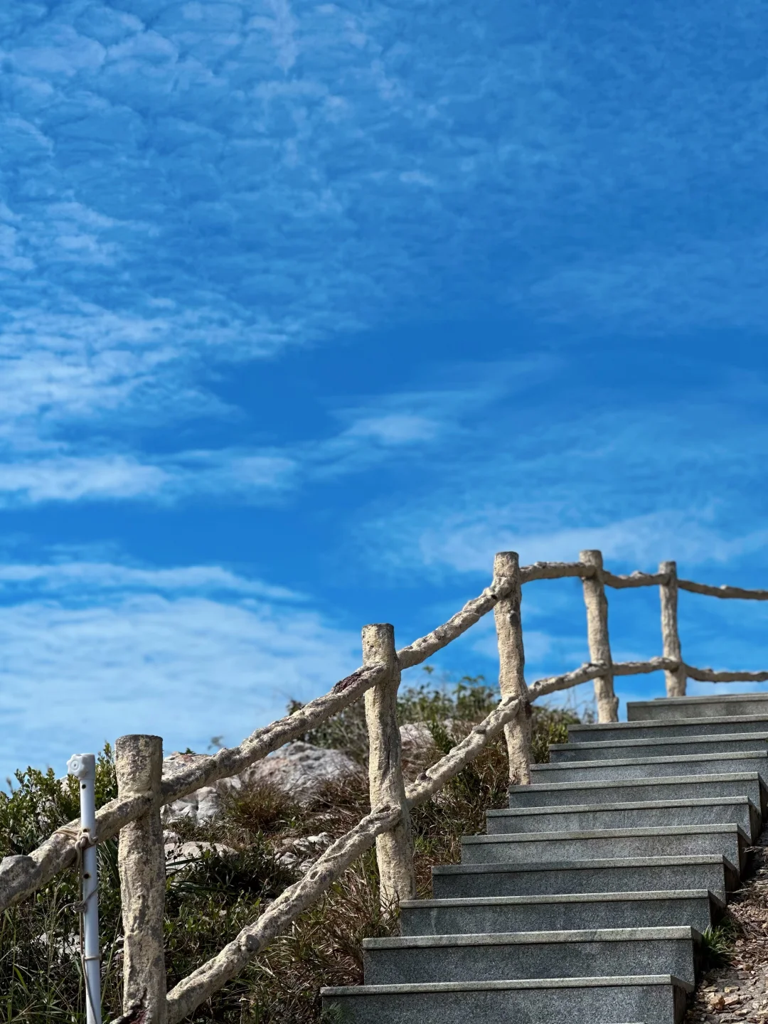 今天的天文台绝了啊