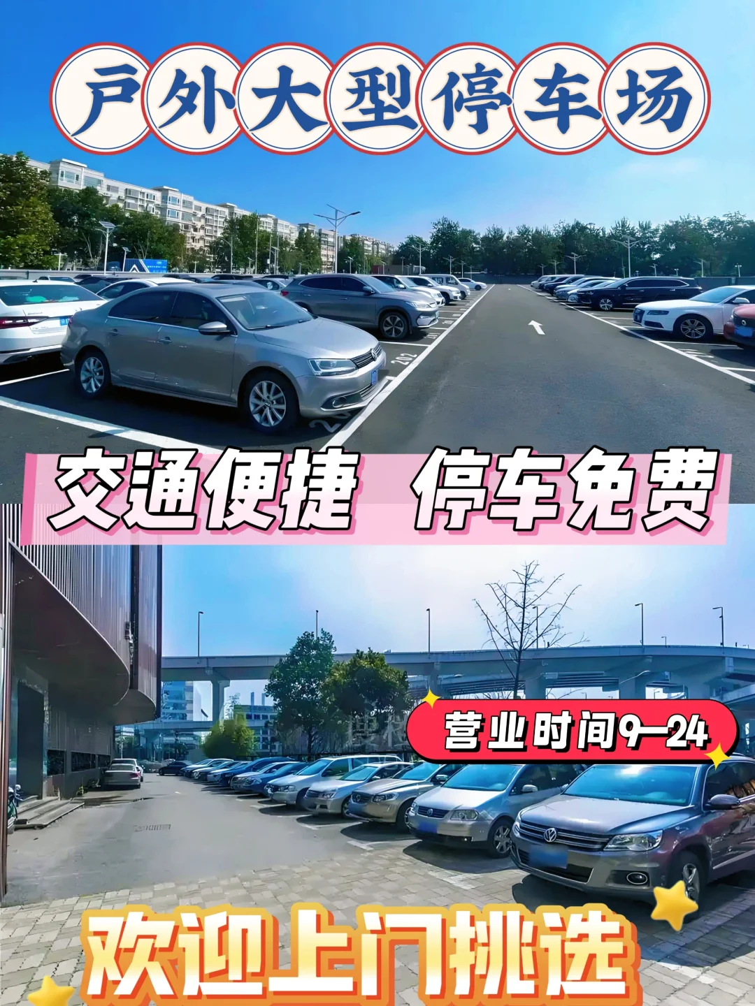 东莞买猫买狗不踩坑！！东莞宠物基地推荐！