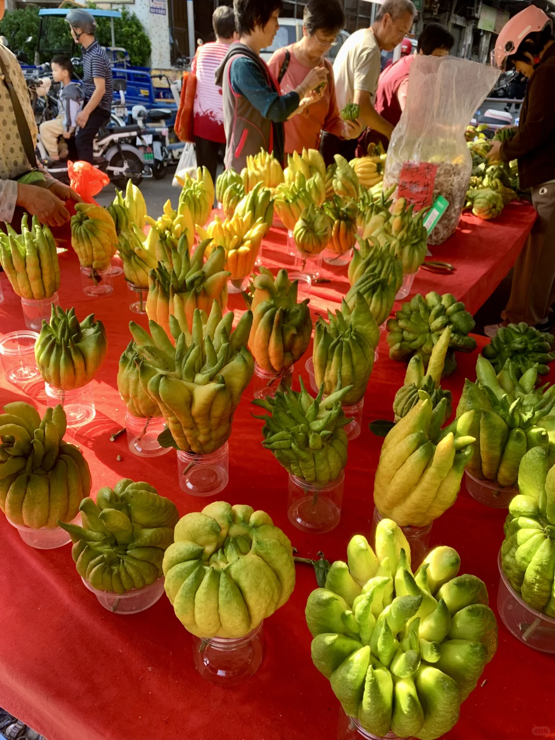 东莞最热闹最具烟火气息的集市！没有之一！