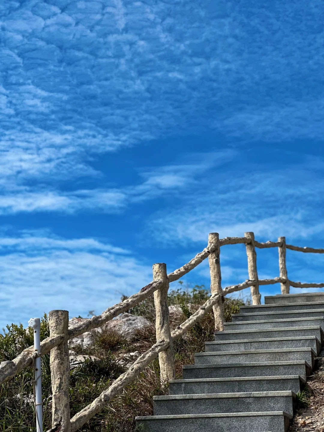 今天的天文台绝了啊
