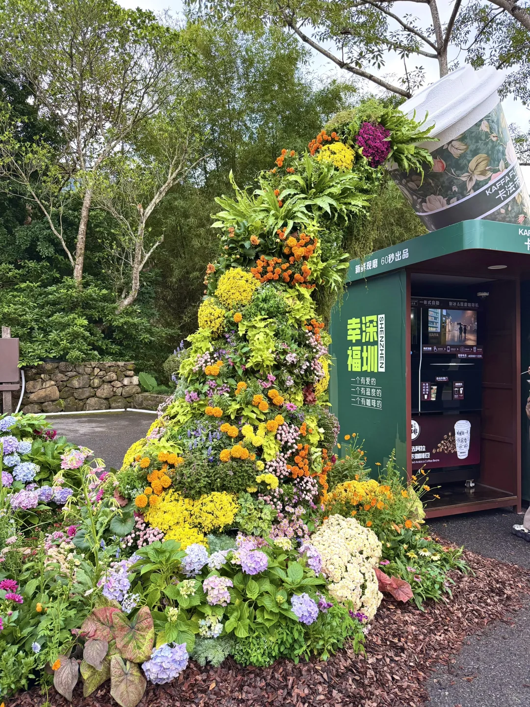 以为广州的菊花展够美了，直到我去了深圳……