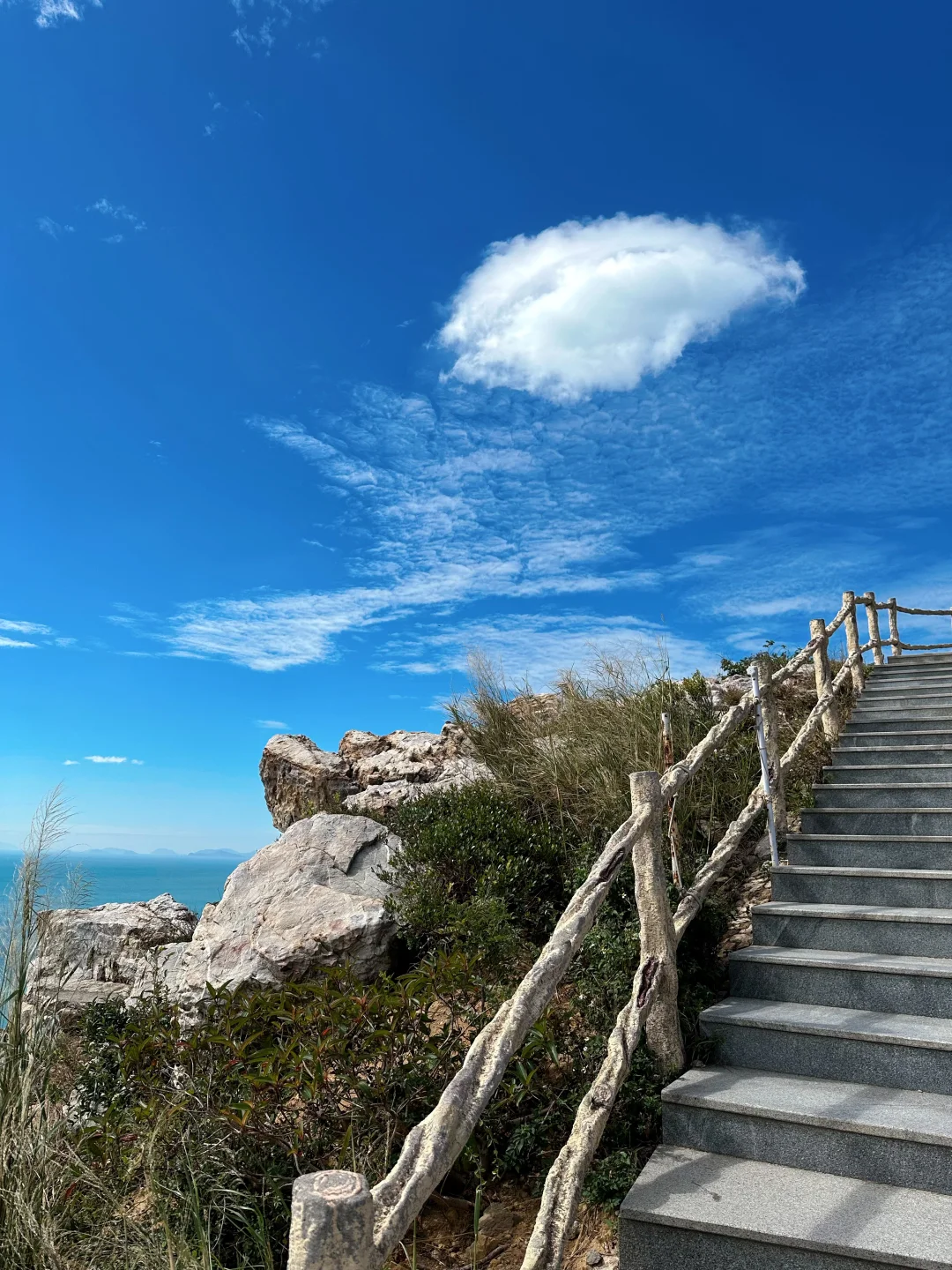 今天的天文台绝了啊