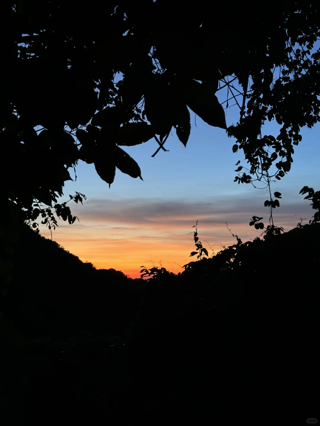 被深圳这个山顶世纪晚霞震撼到了！！！