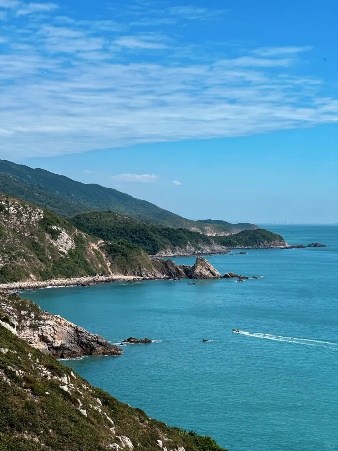 今天的天文台绝了啊