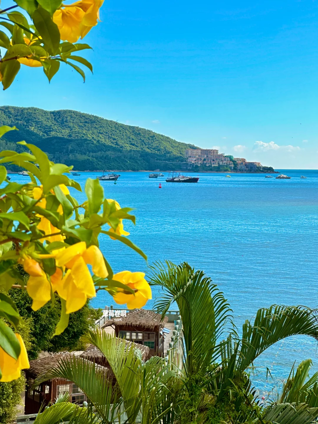 深圳最好的地方都是免费的……