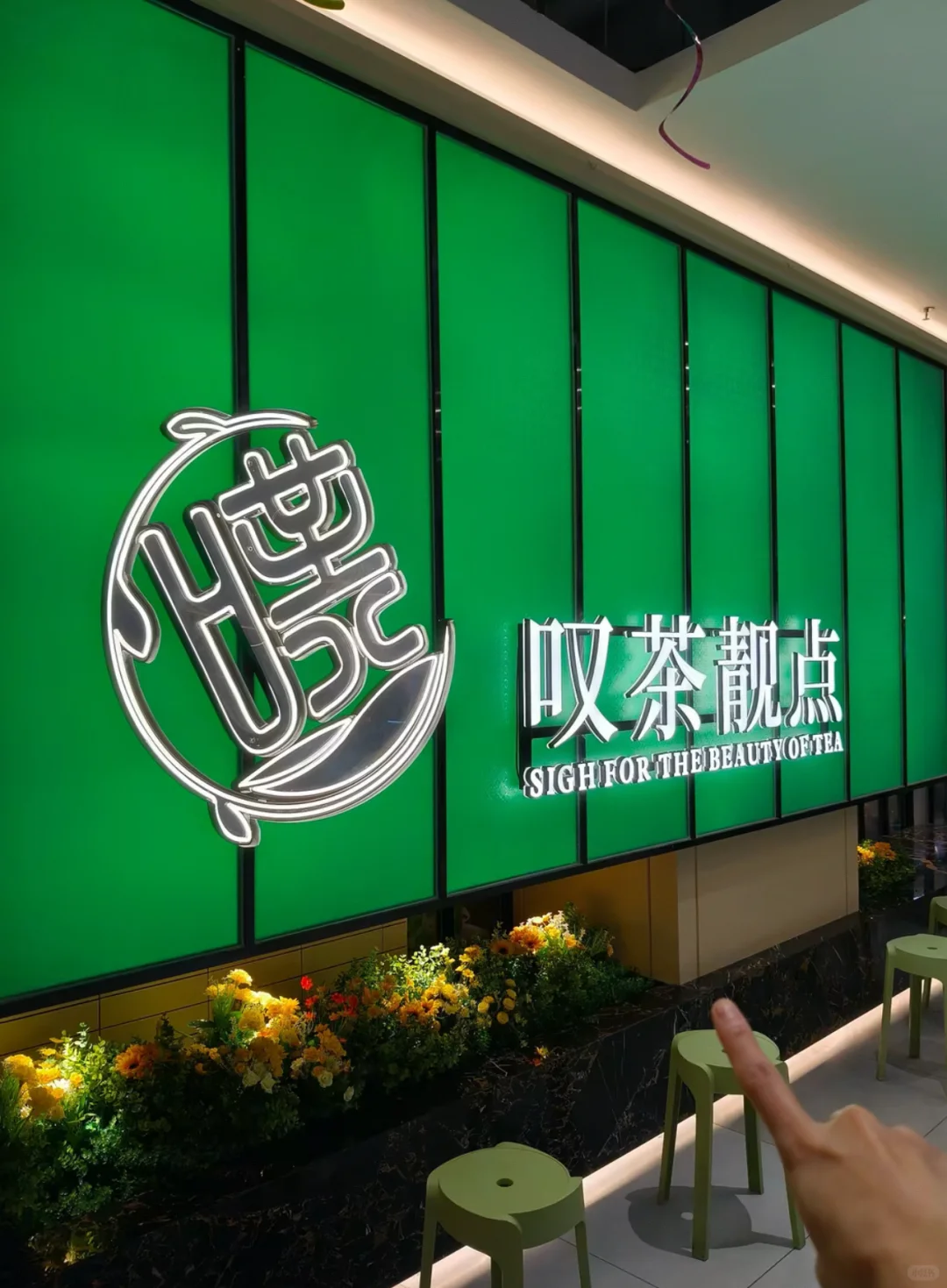 好抵食！人均40+得新晋茶楼叹靓点🍵