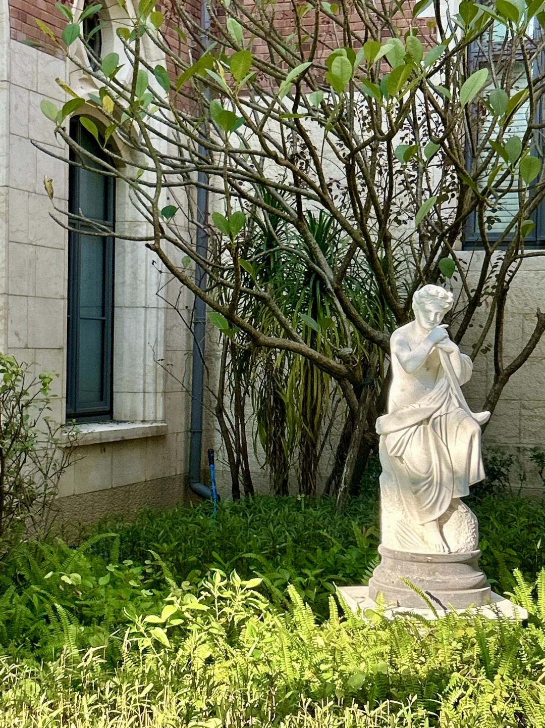 🚄不是欧洲去不起，而是东莞更有性价比