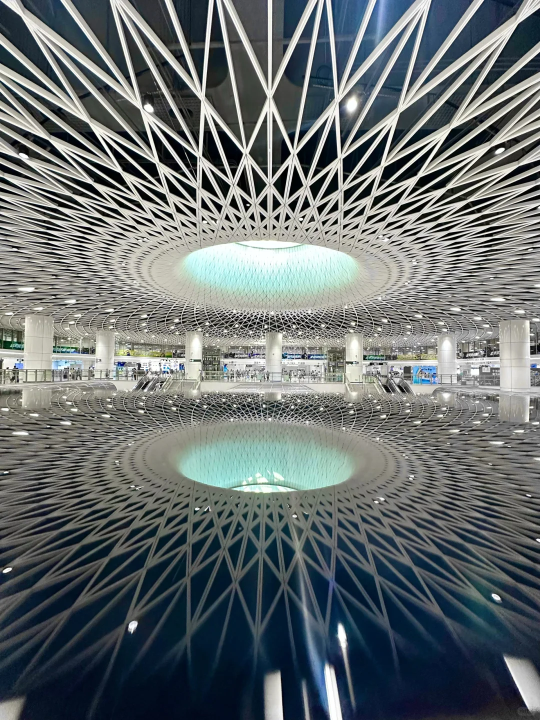 深圳最好的地方都是免费的……