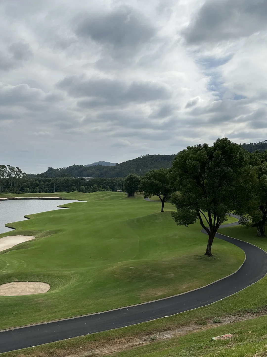 东莞 | 找到了zui适合散步的绿道🌿
