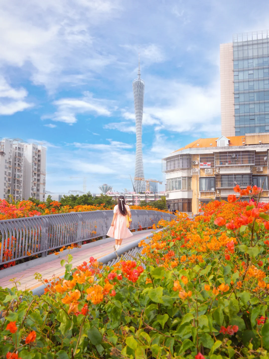 广州最好的东西都是免费的！！（📍附地址