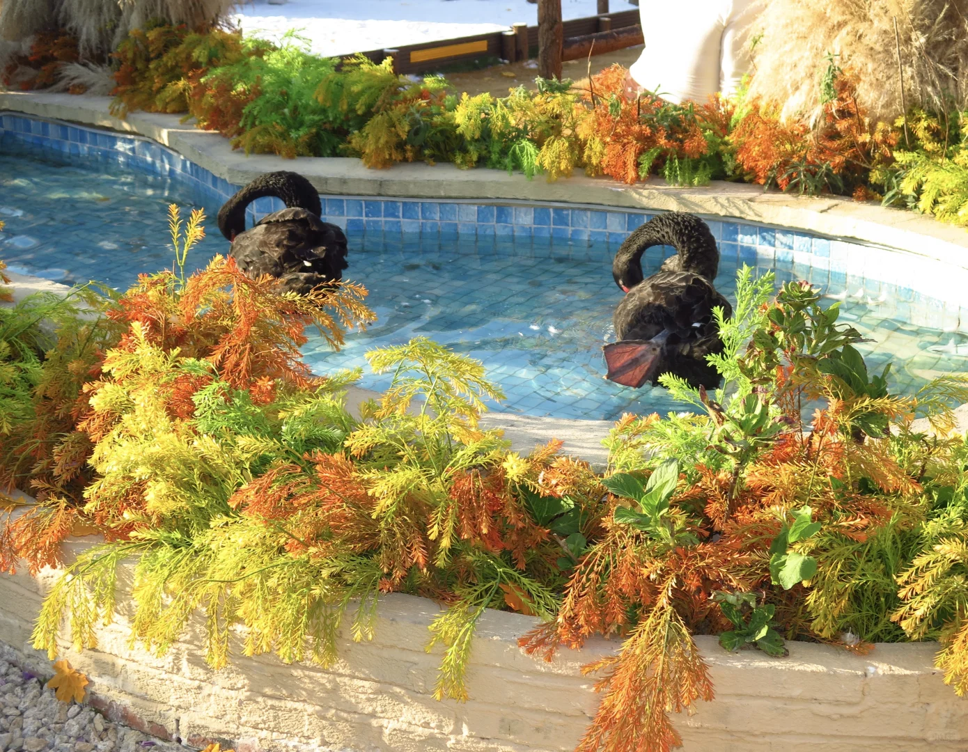 屿酉咖啡！全东莞的美女都给我去这里拍！（上）