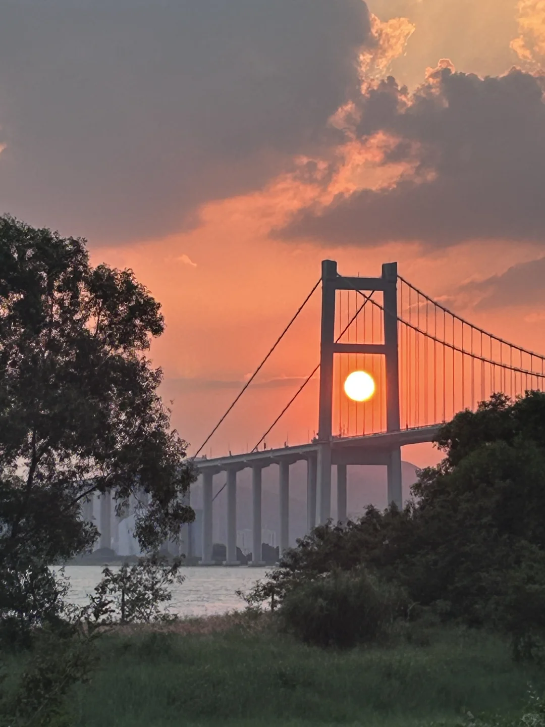 🚄不是欧洲去不起，而是东莞更有性价比