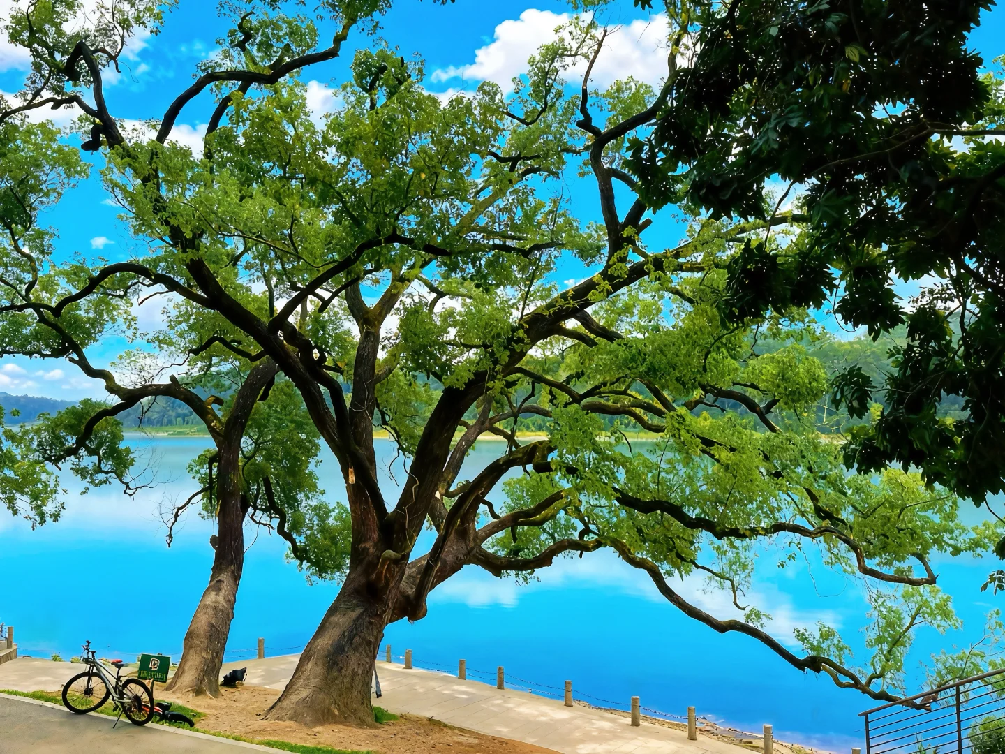 东莞“小洱海”～