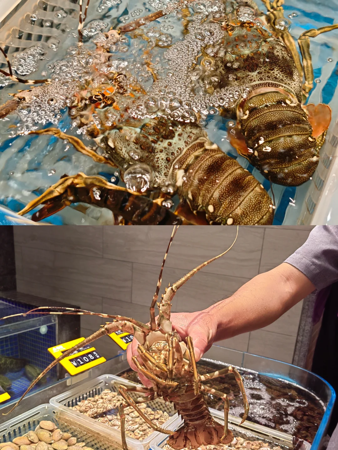 在东莞，带长辈来吃会被狠狠夸的一家客家菜！