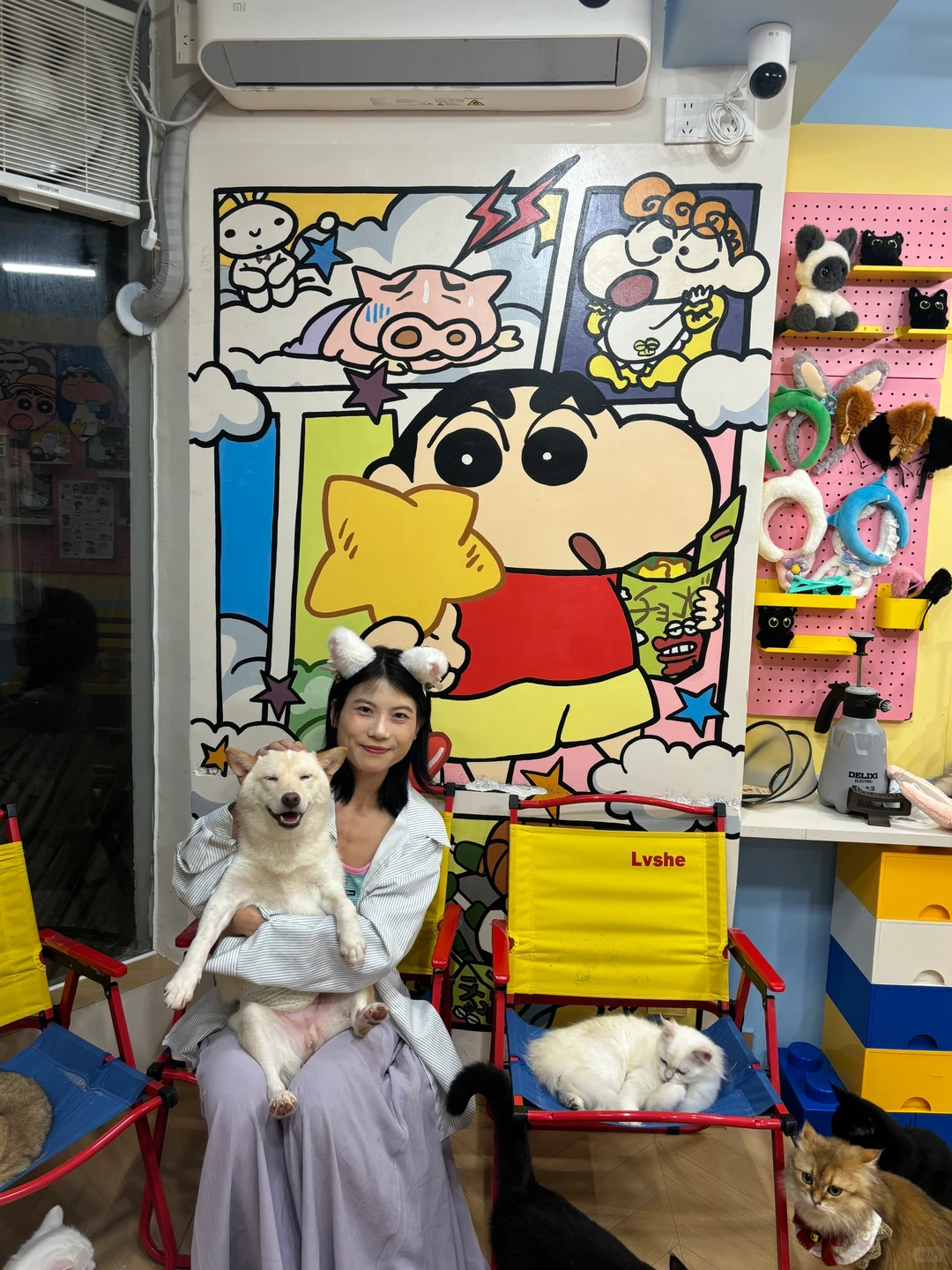 广州｜发现一家超出片的撸猫馆～！！