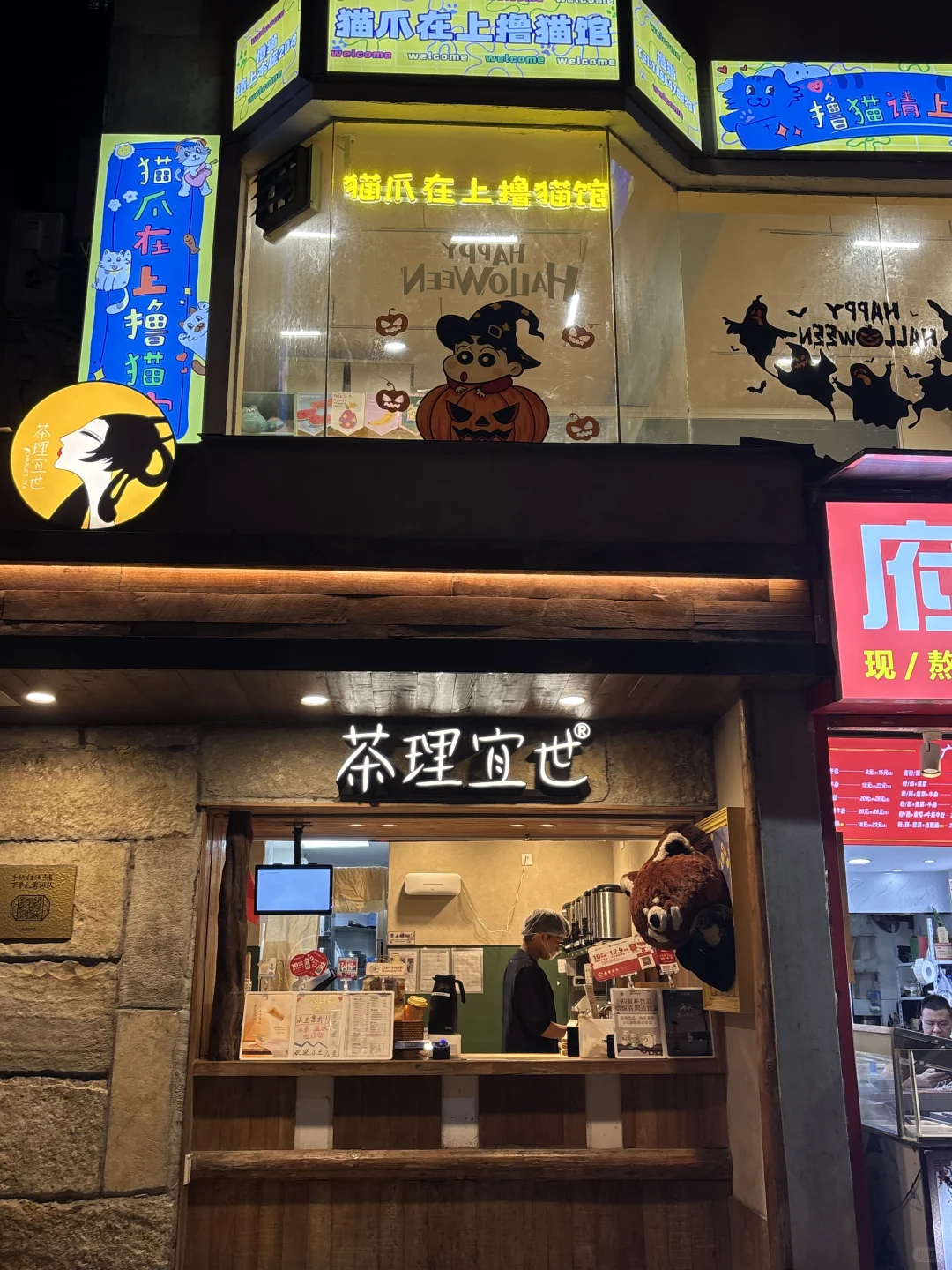 广州｜发现一家超出片的撸猫馆～！！