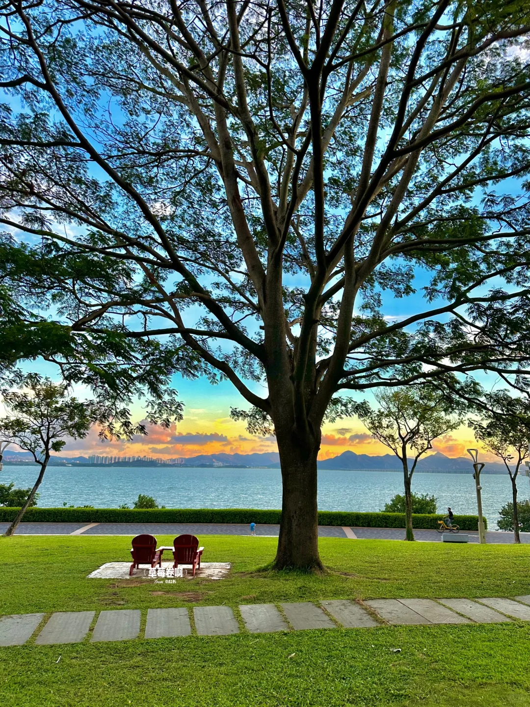 深圳最好的地方都是免费的……