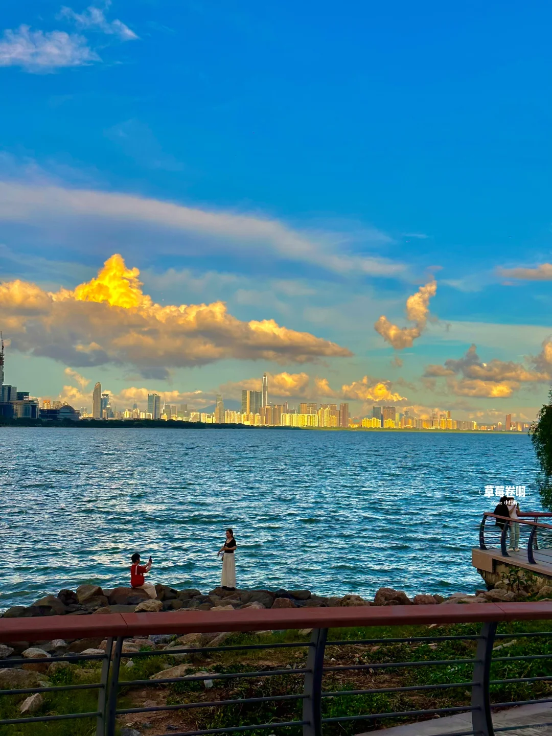 深圳最好的地方都是免费的……