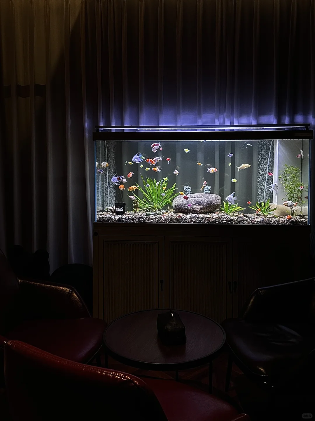 东莞微醺新去处🖤体验shisha➕🍸的快乐