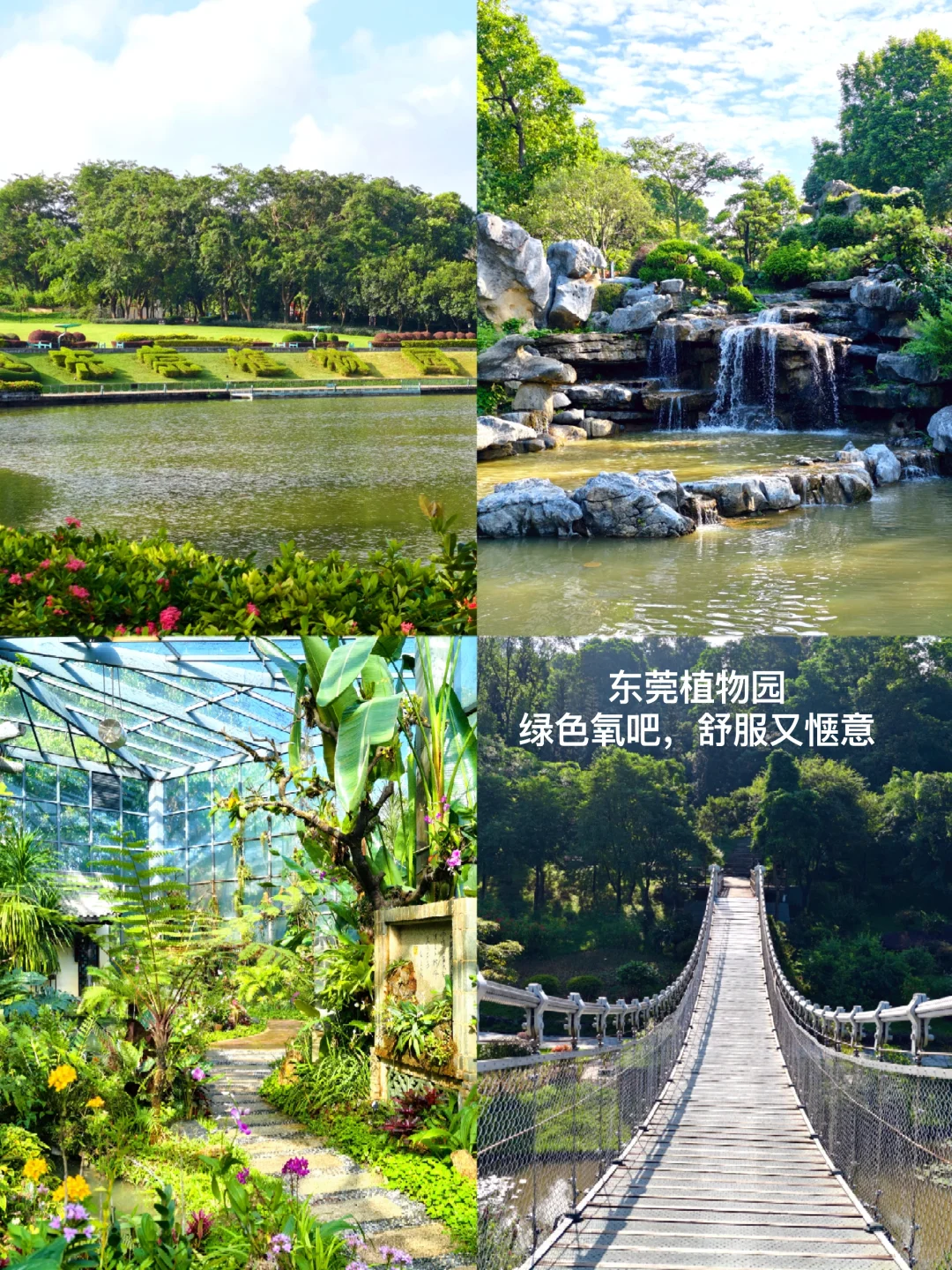 东莞一日游 | 精华景点一次性打卡线路