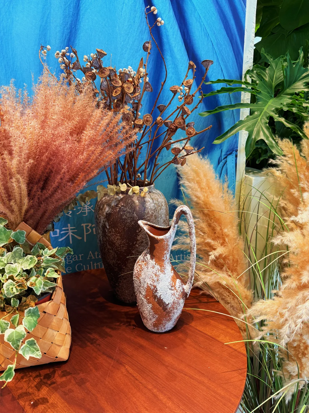 东莞首家！已爱上可可爱爱的卡皮巴拉☕️