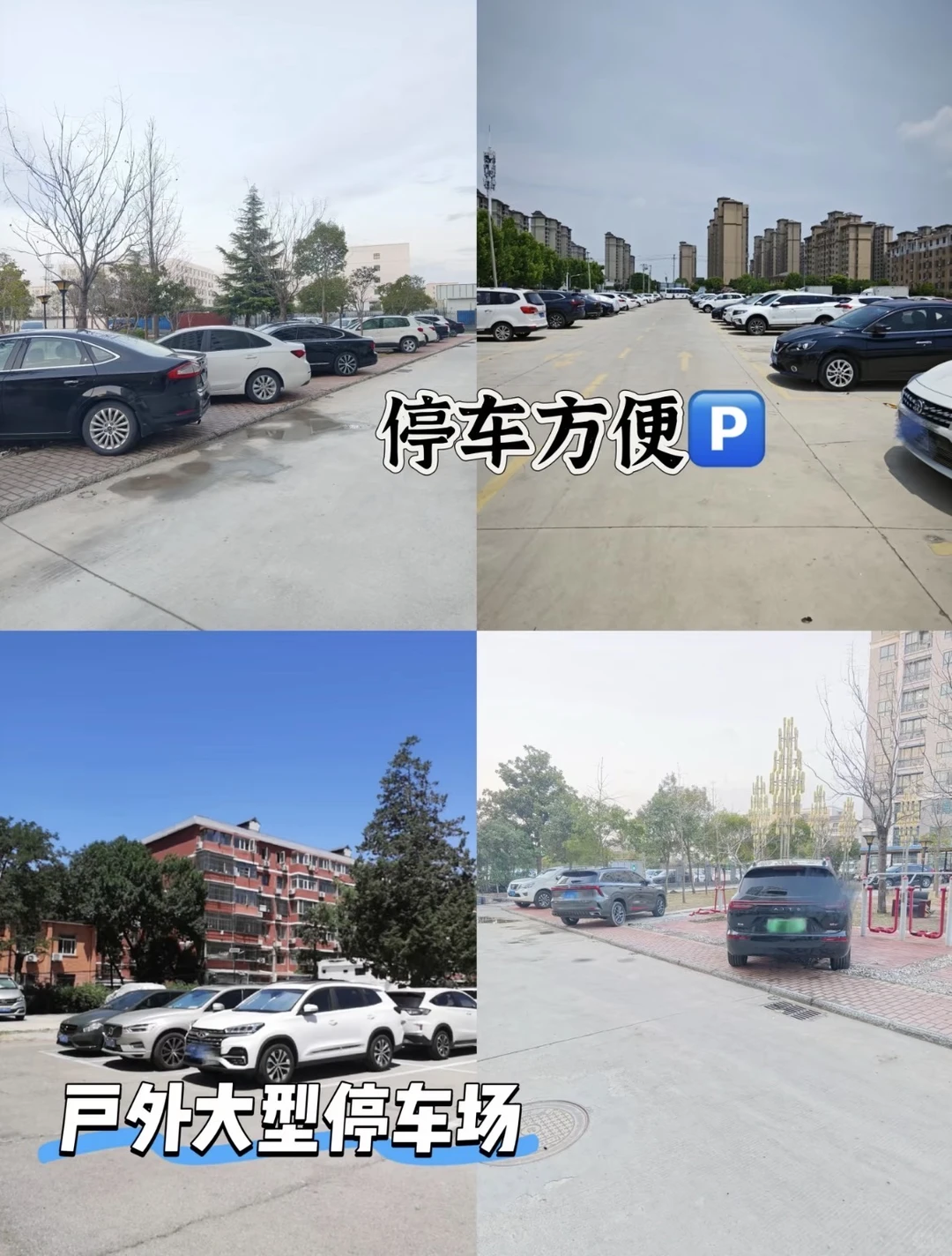 东莞铲屎官狂喜！1200㎡宠物基地直购