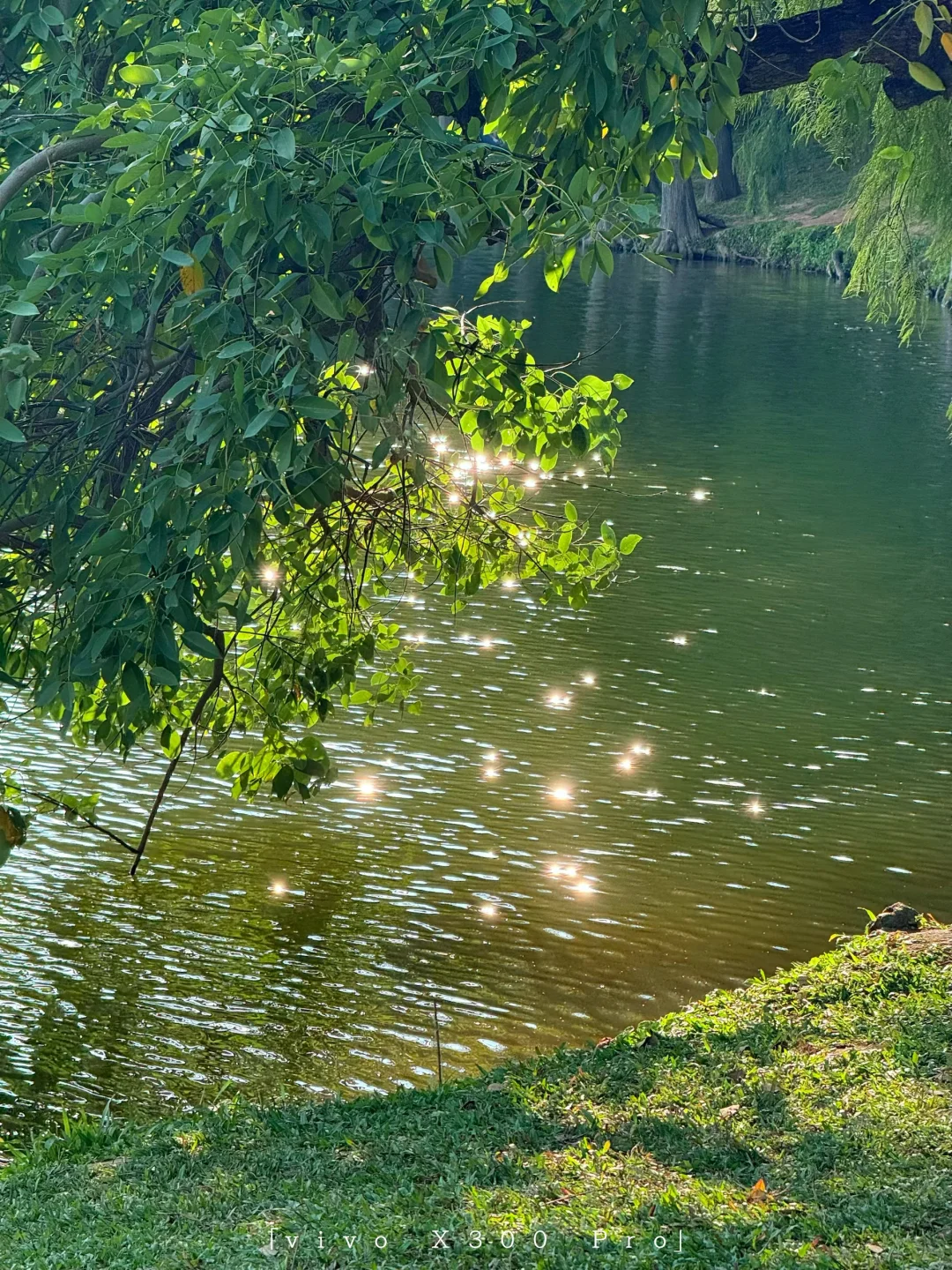 广深周边1h🚗最好的地方都是免费的🏰