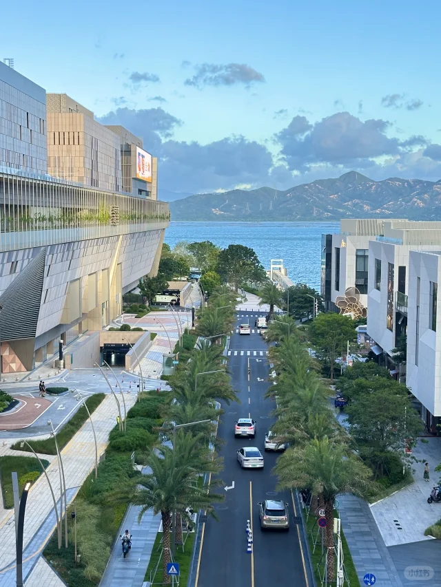 深圳是深圳，蛇口是蛇口..