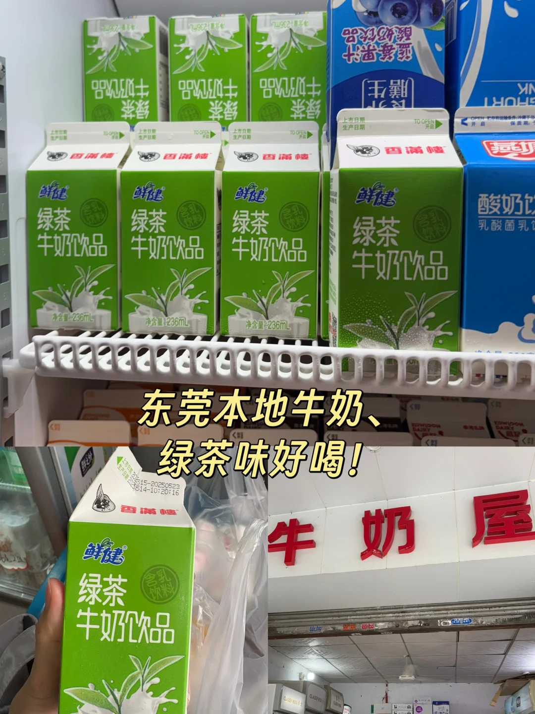 东莞city walk 一日游玩！