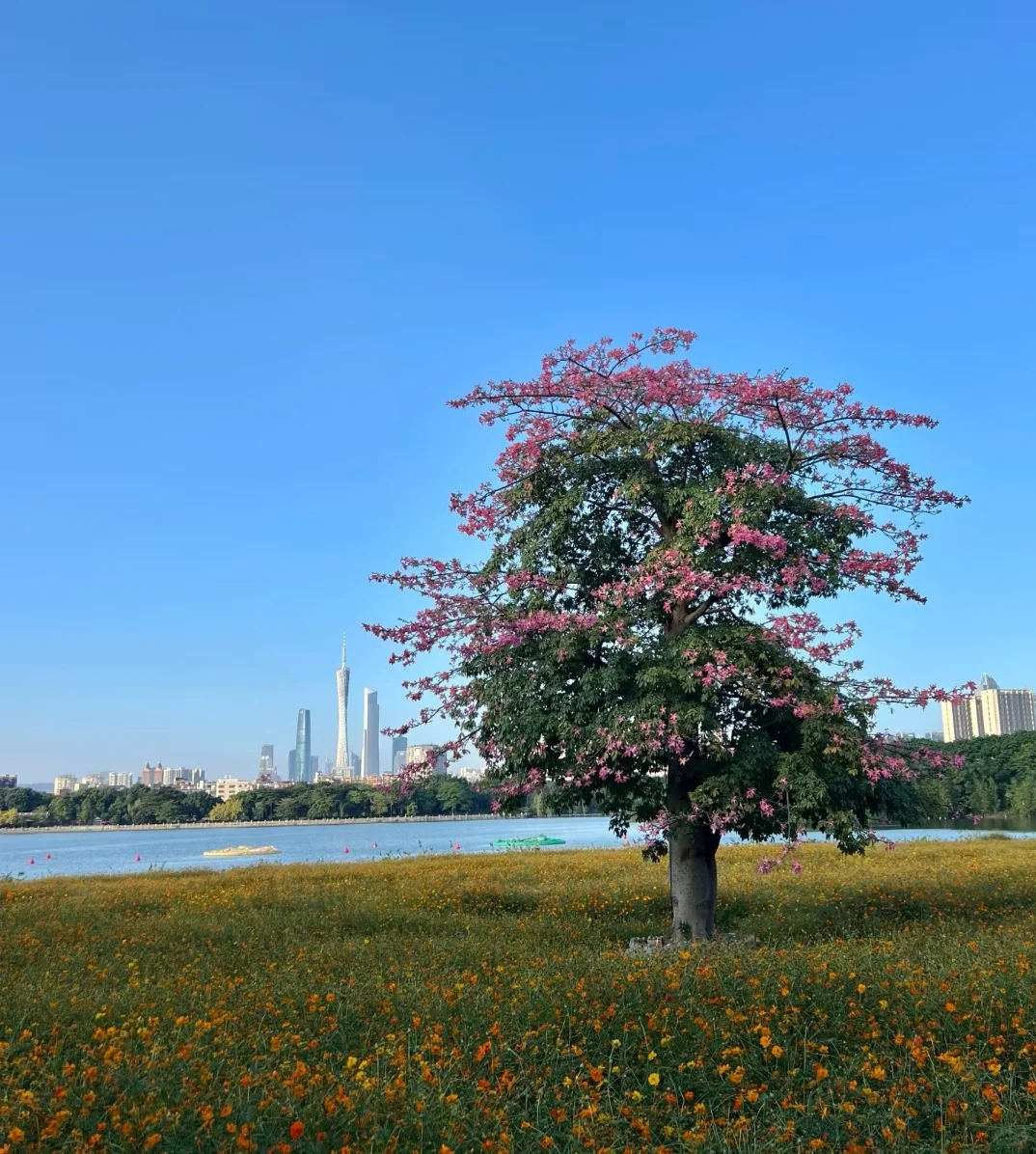 属于广州人的moment~