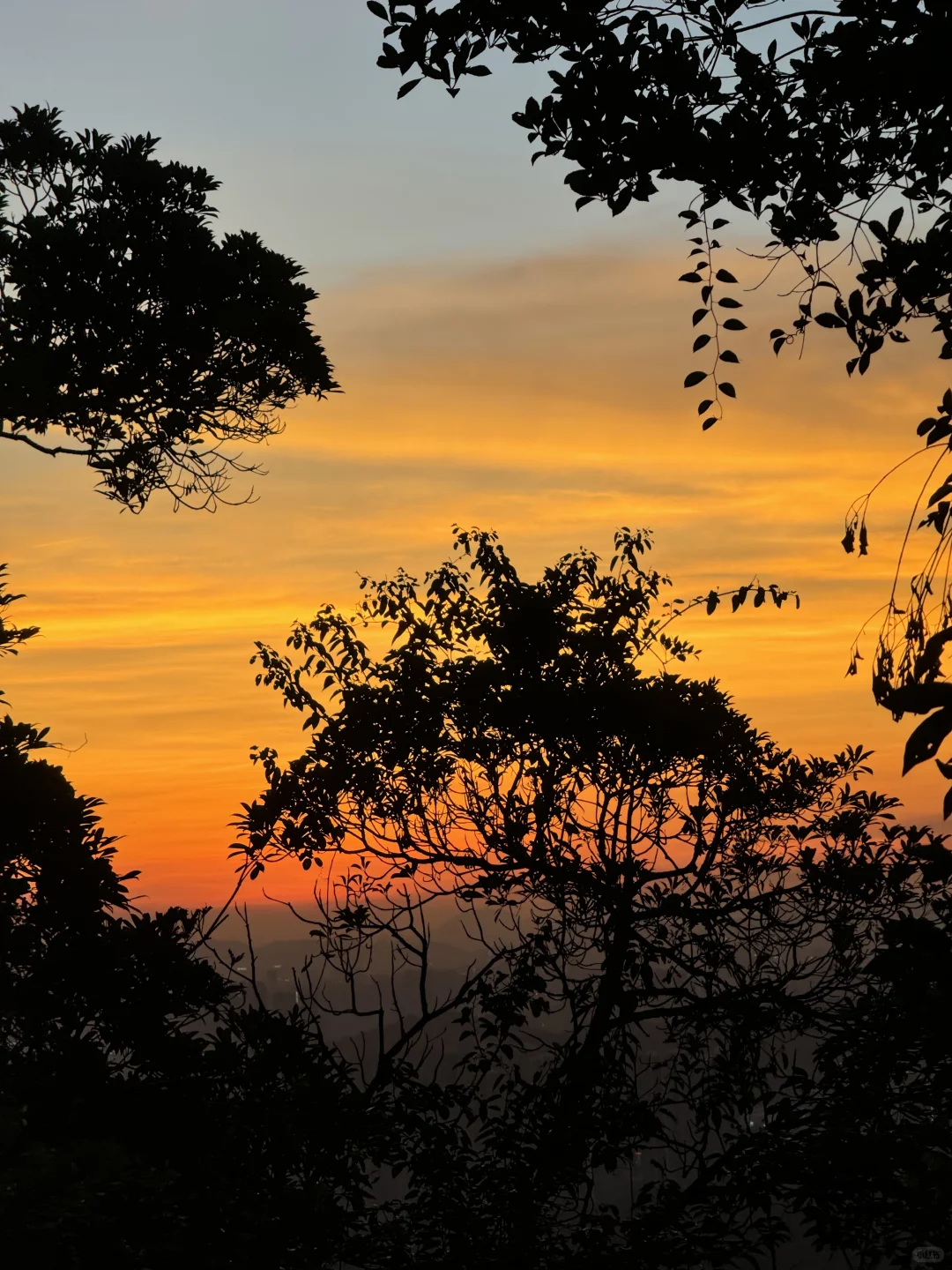 被深圳这个山顶世纪晚霞震撼到了！！！