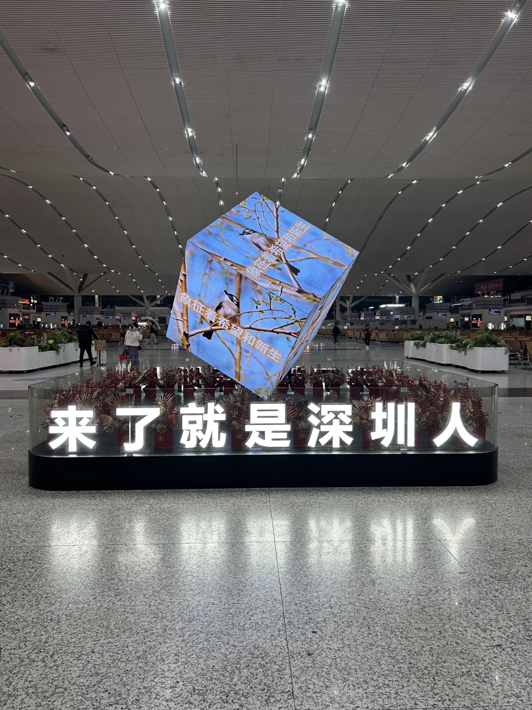 来了就是深圳人。