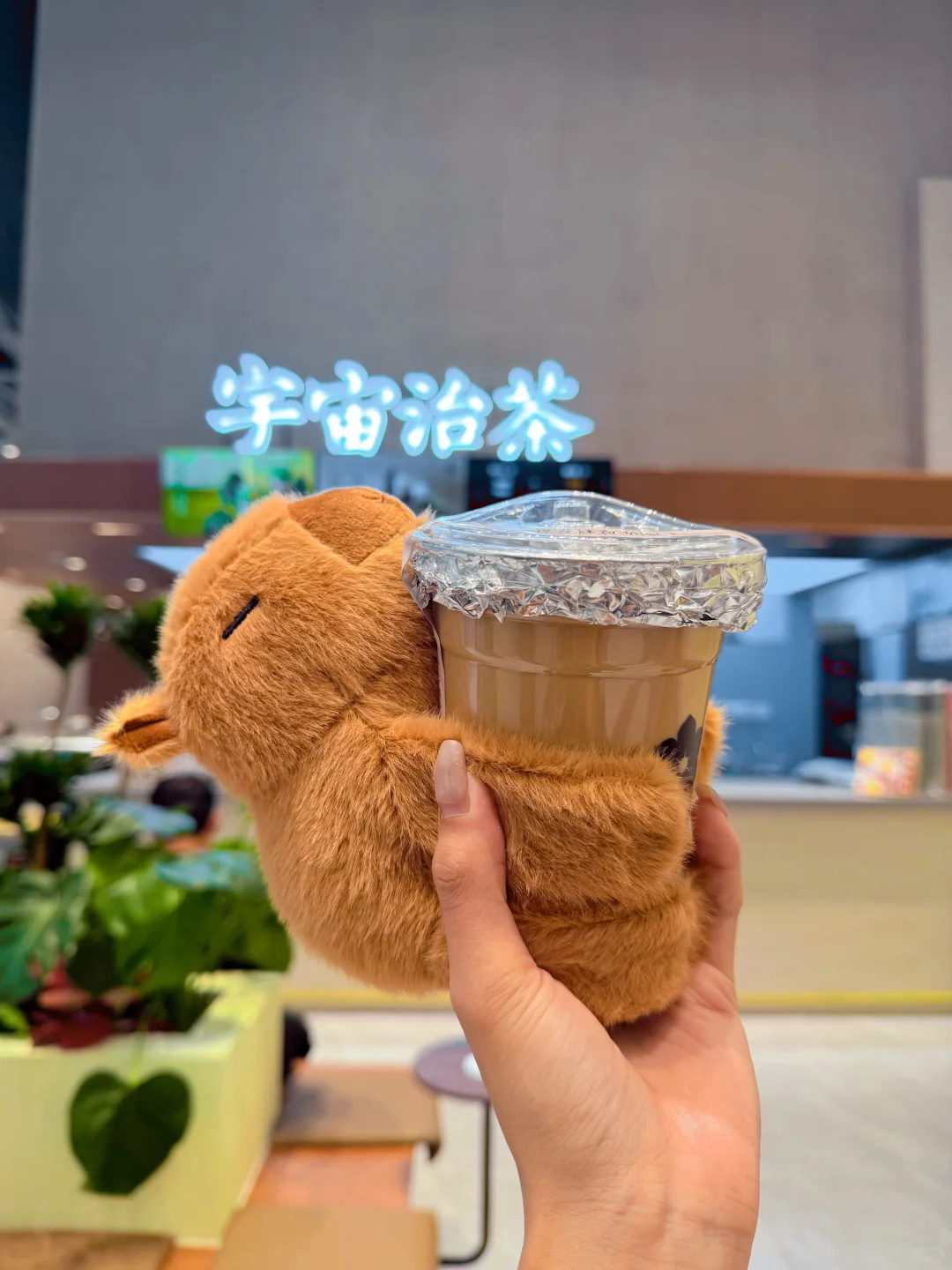 东莞首家！已爱上可可爱爱的卡皮巴拉☕️