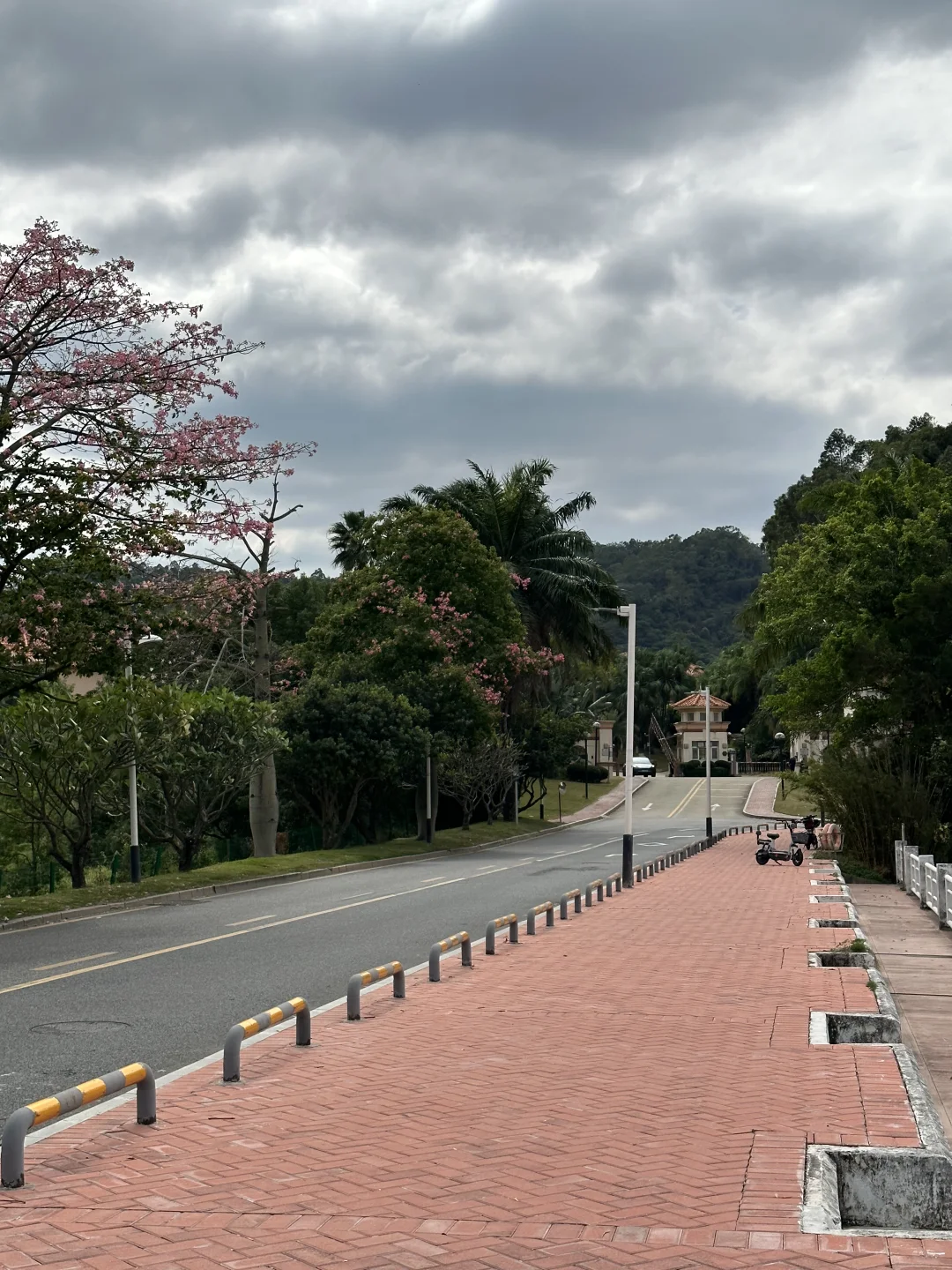 东莞 | 找到了zui适合散步的绿道🌿