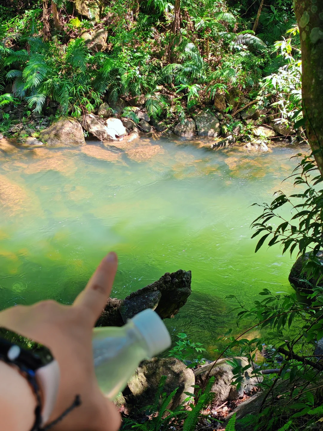 广州，你有这样的瀑布怎么没听你说过