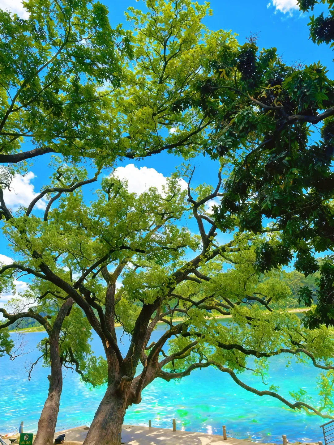 东莞“小洱海”～