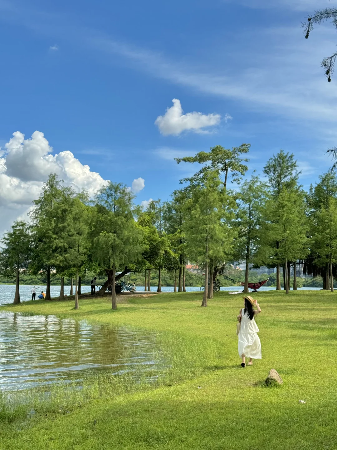 实况Live📷东莞这个值得N刷的公园太美了～