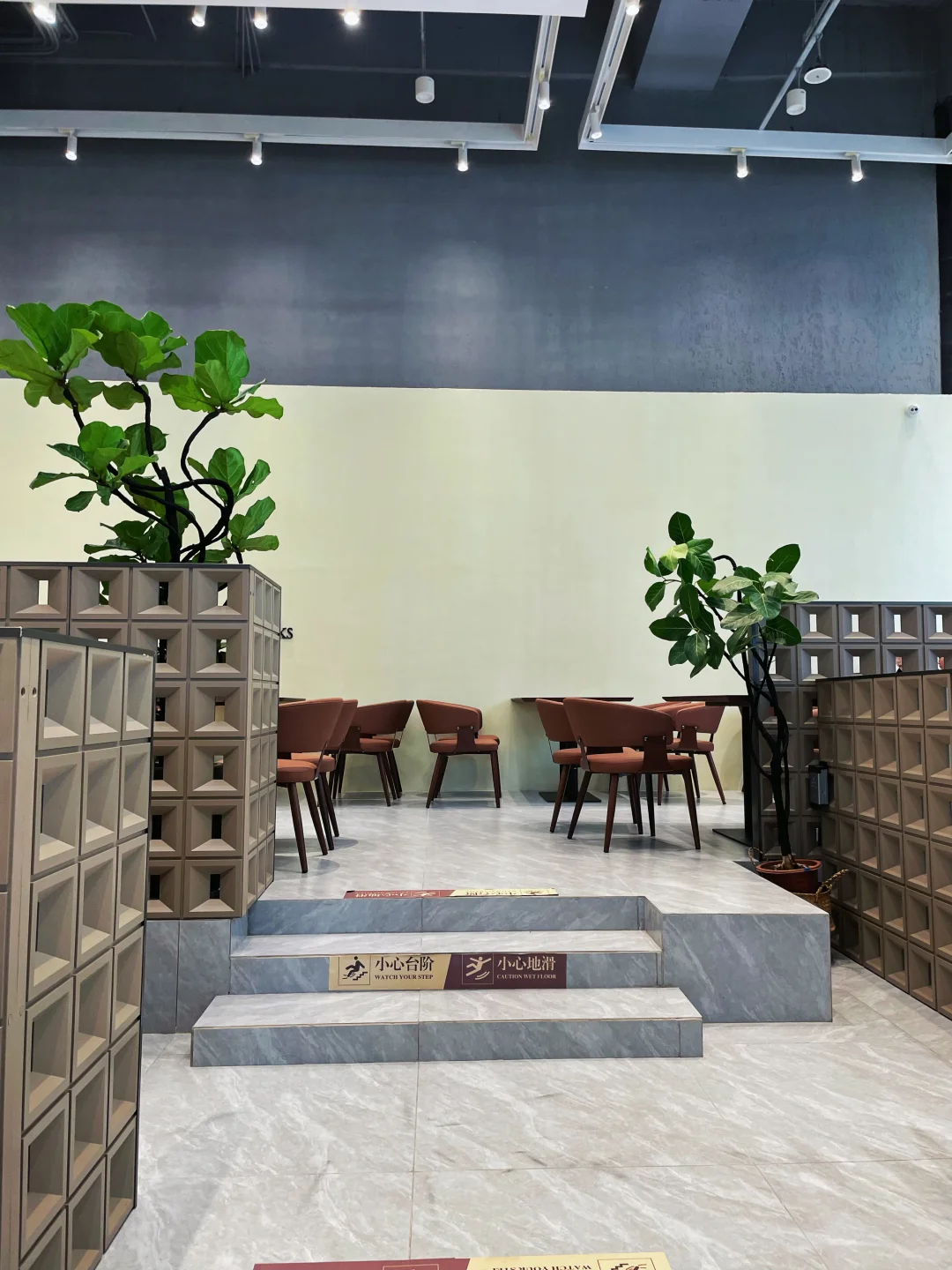 东莞首家！已爱上可可爱爱的卡皮巴拉☕️