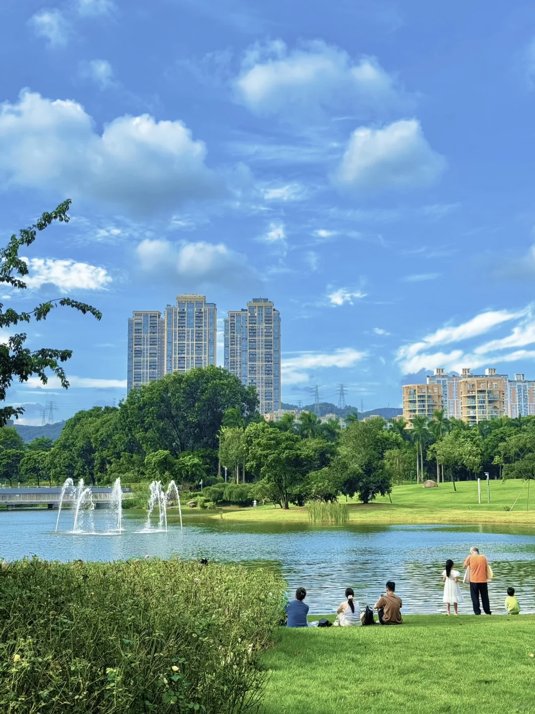 深圳最好的地方都是免费的。。。（附地址