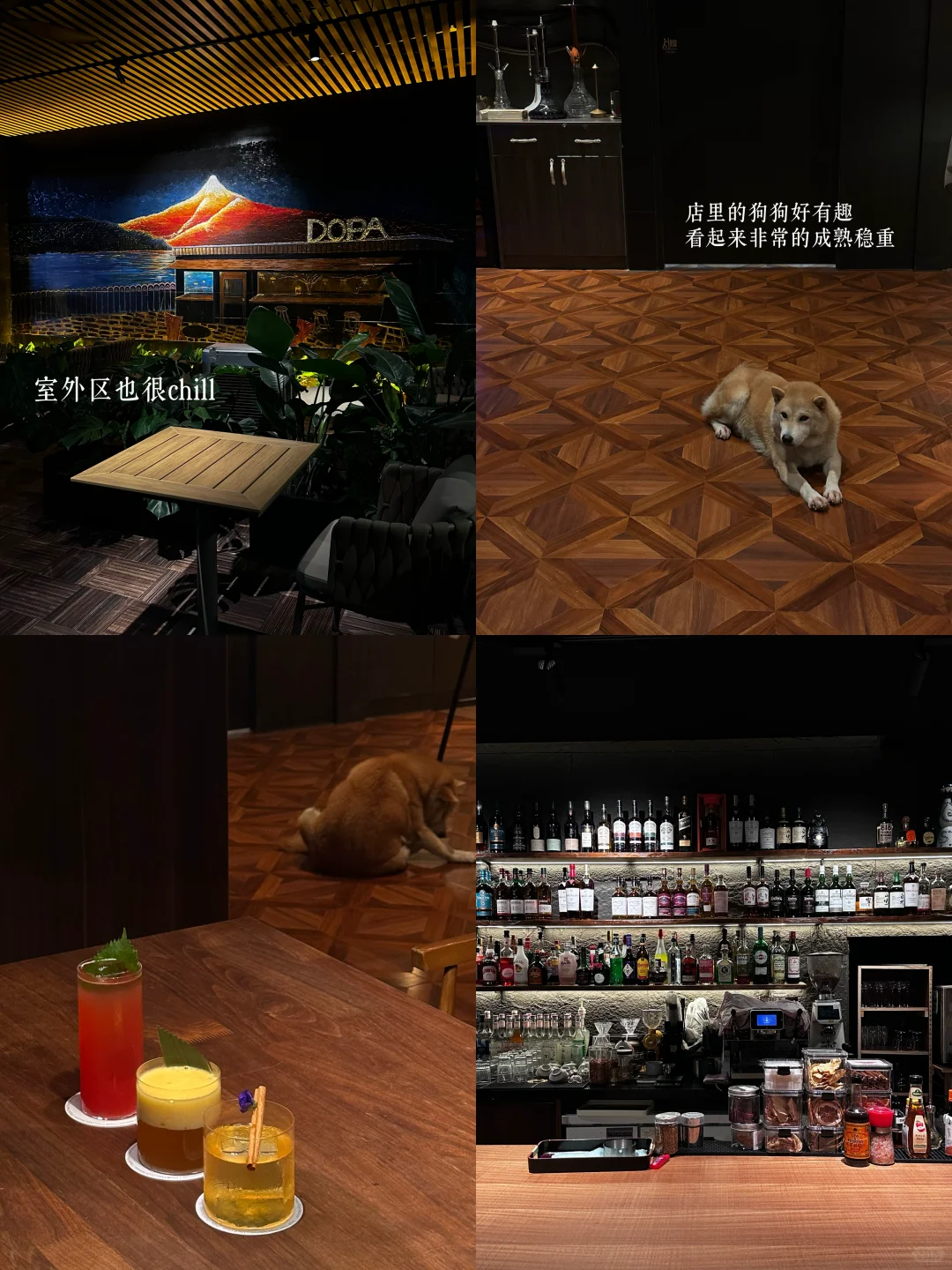 东莞微醺新去处🖤体验shisha➕🍸的快乐