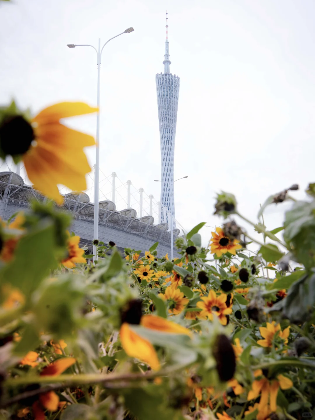 广州最好的东西都是免费的！！（📍附地址