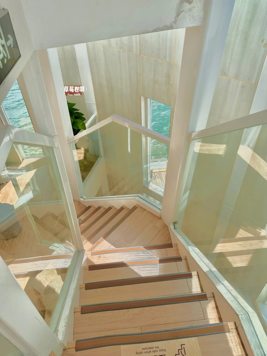 深圳最好的地方都是免费的……