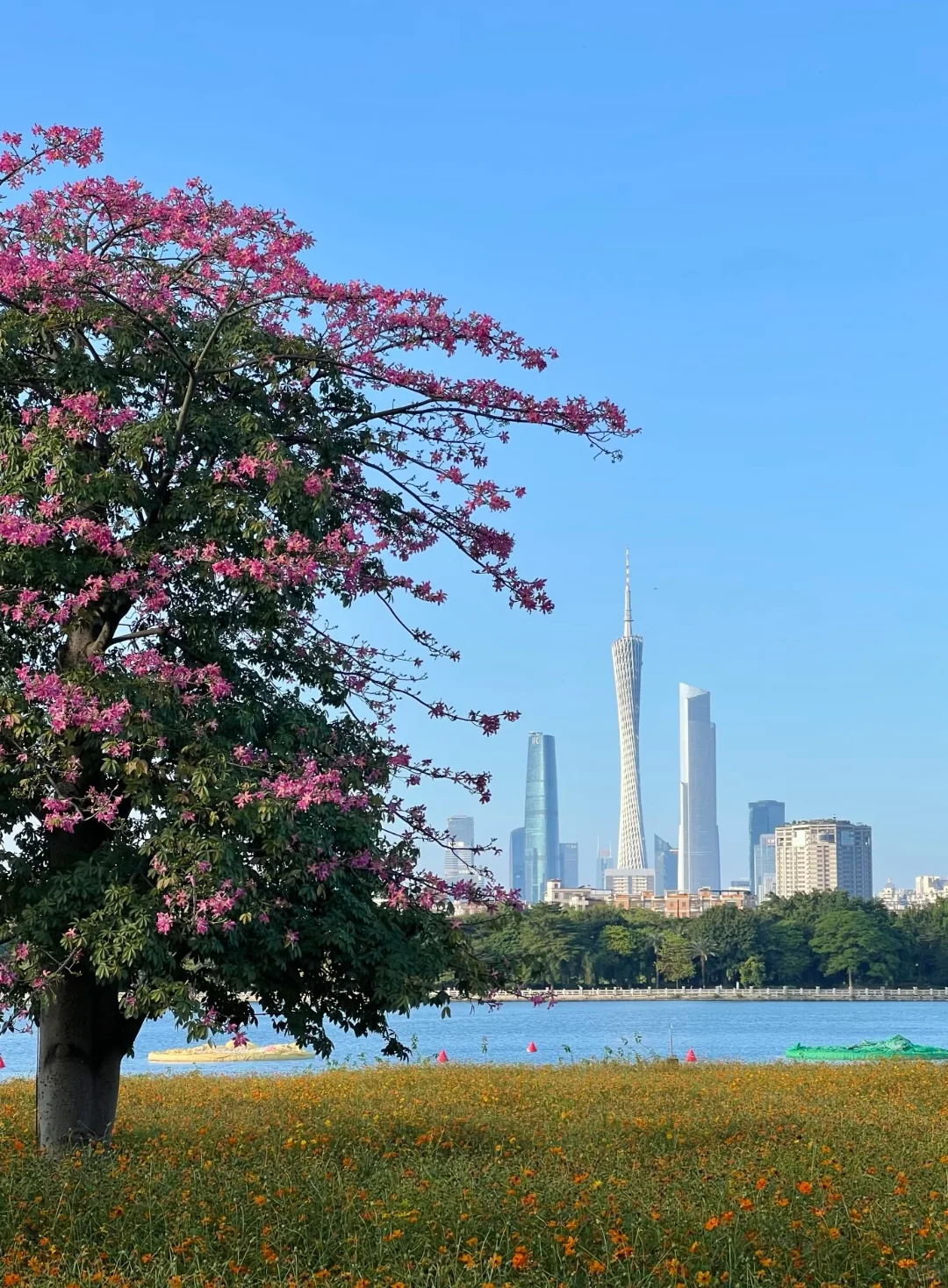 属于广州人的moment~