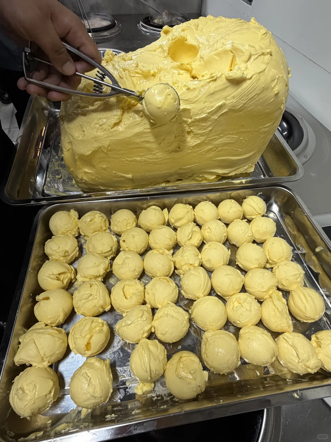 来深圳见世面了。。。。。。