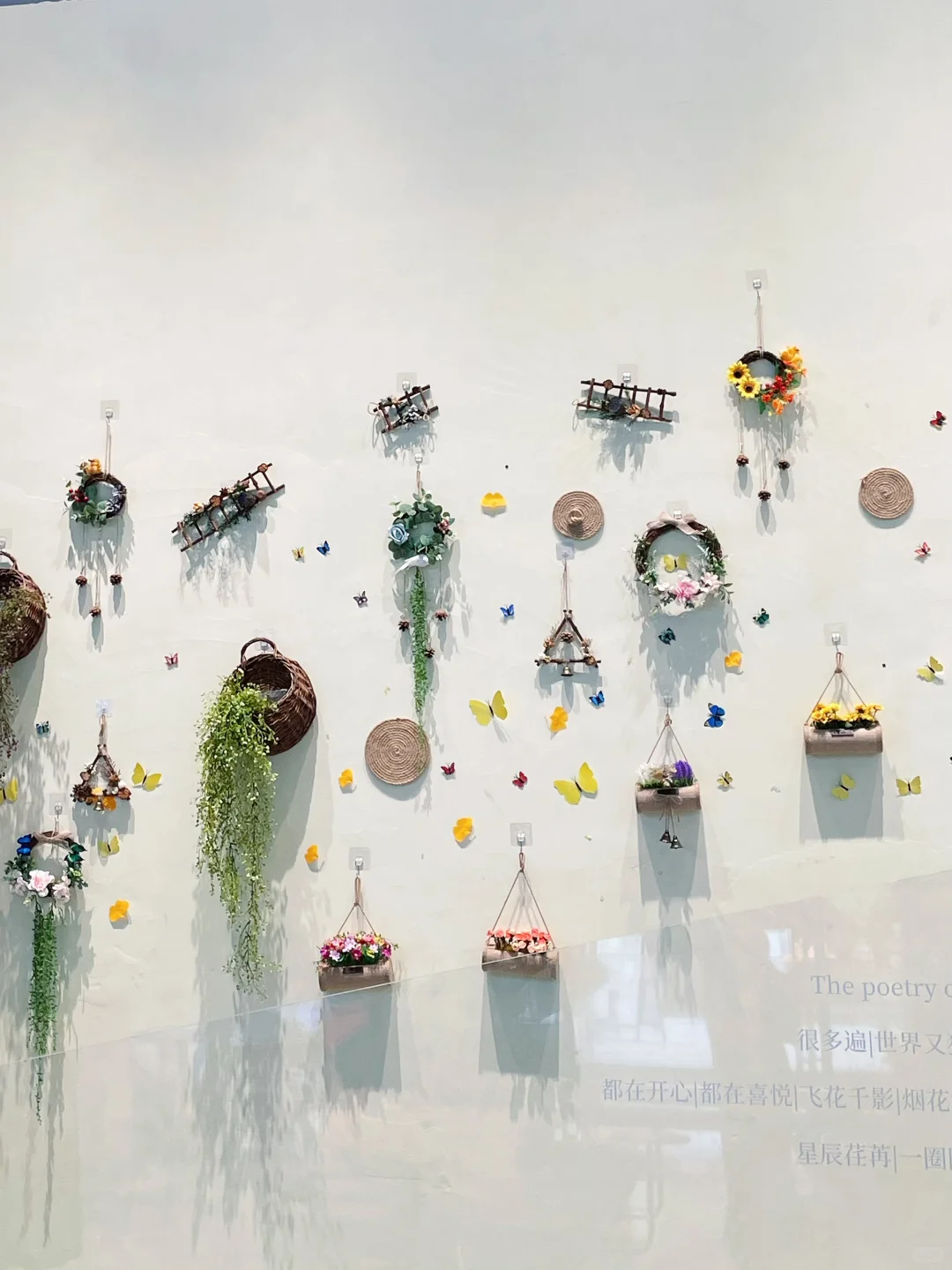 东莞首家！已爱上可可爱爱的卡皮巴拉☕️