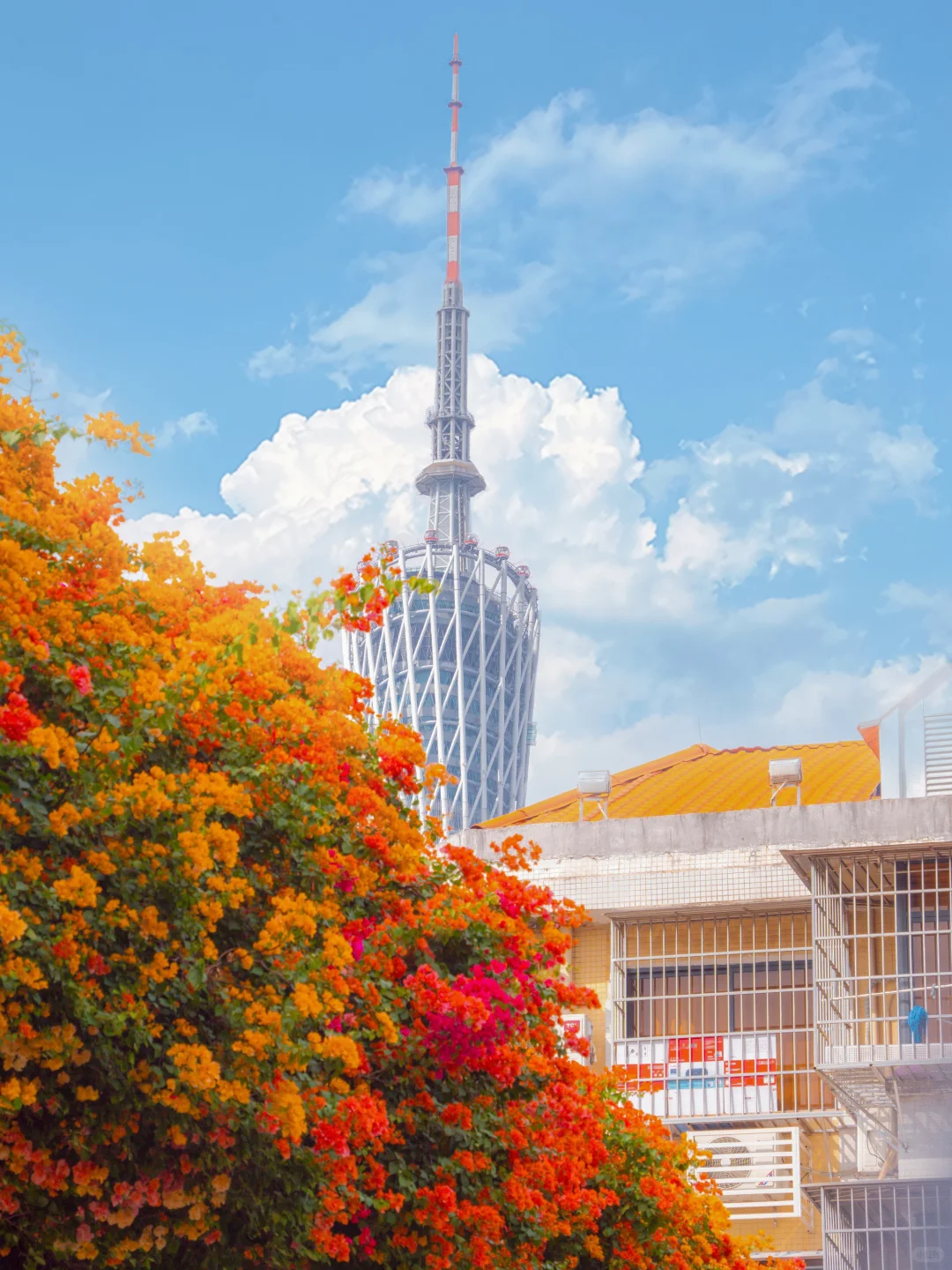 广州最好的东西都是免费的！！（📍附地址