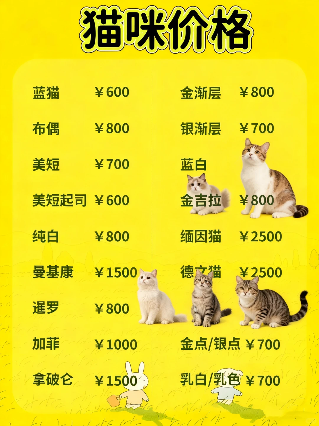 东莞铲屎官狂喜！1200㎡宠物基地直购